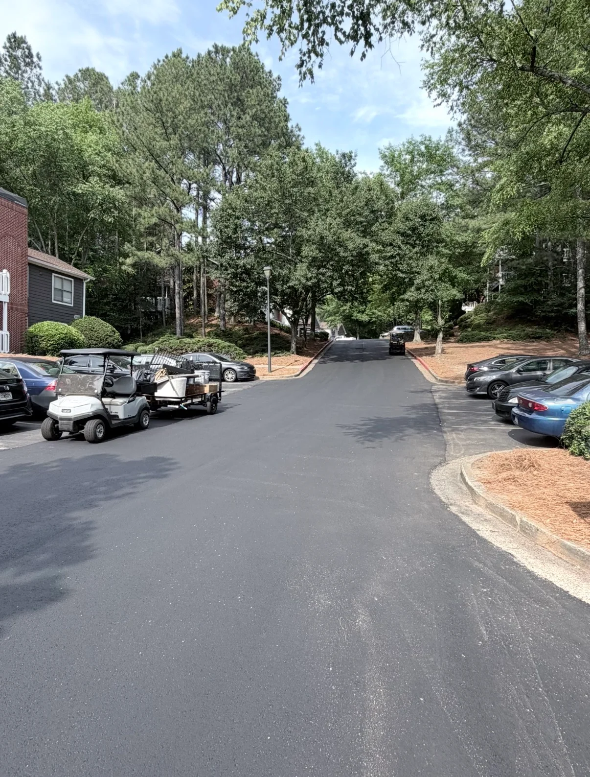 Newly paved black asphalt driveway with curved mulch borders and parked vehicles